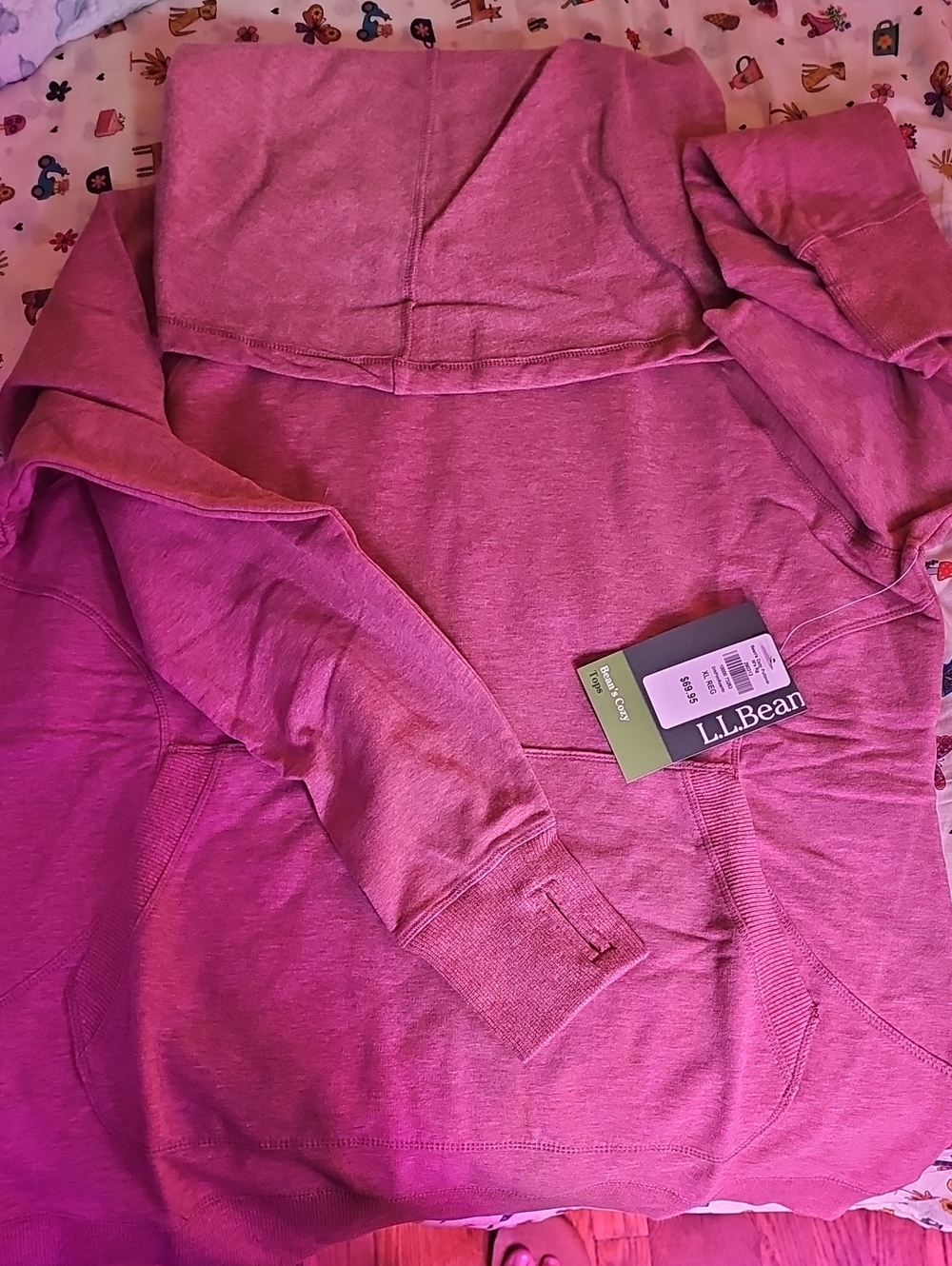 L.L. Bean Cozy Pullover With Funnel Neck